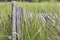 Part of a weathered wooden fence, Belarus